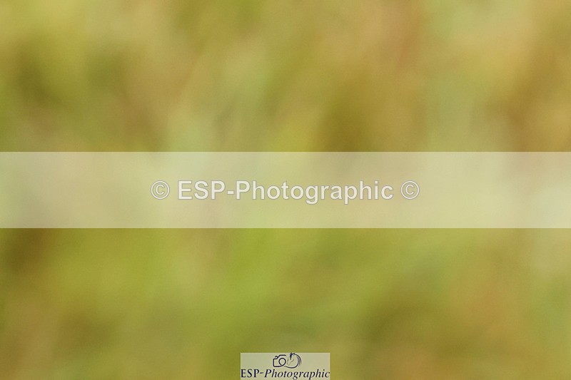 240824X-090733-22018 - D70 Section C and D 8.30 to 9.30