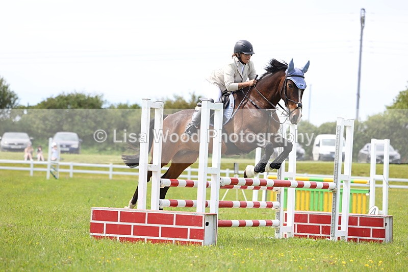 3E7A1446 - Class 13: Senior British Novice/90cm open