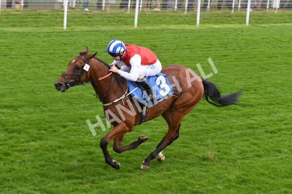 yr10062022r2-25 - Race 2 2.30pm SKF Rous Selling Stakes