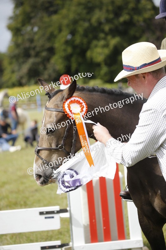 20250831-0802 - Class 2 - 60cm