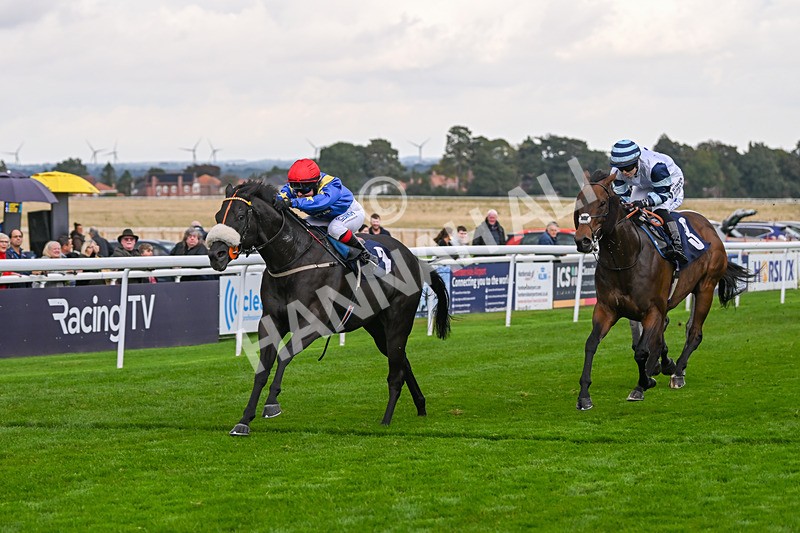 240924-Race 4-Tees Spirit-6252 - Race 4