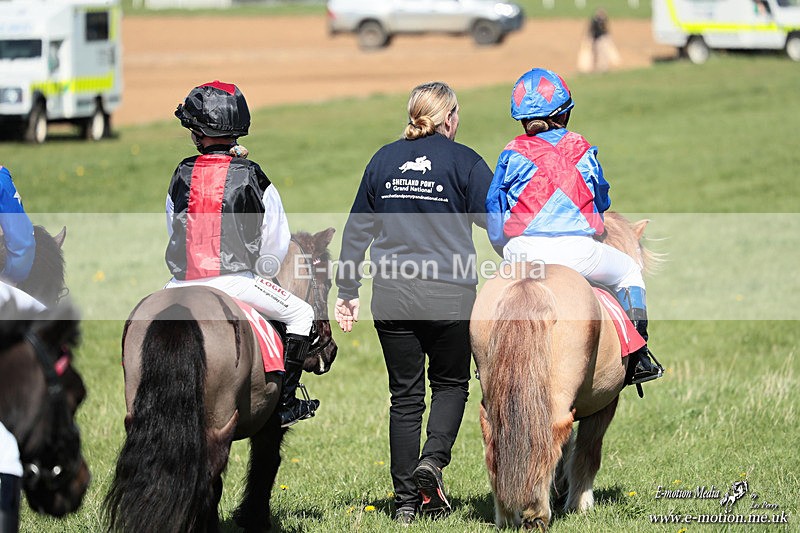Shet 060426 386 - Shetland Pony Racing Paxford Races Easter Mon 06/04/26