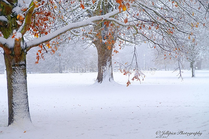  - Landscapes = 'Bedford in the Snow'