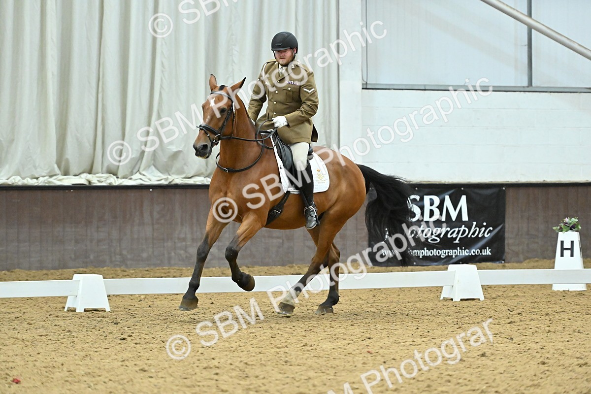 SBM_007439 - Class 81 - Novice 3