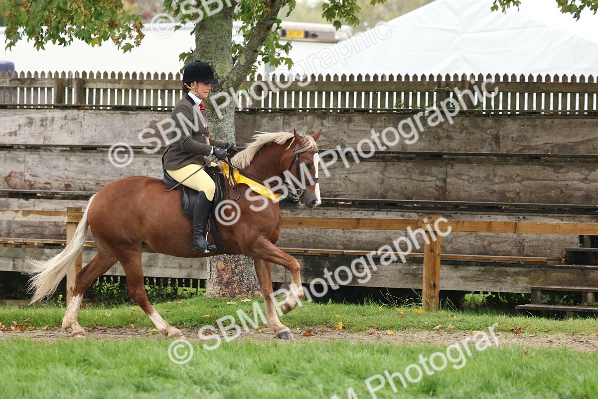 SBM_73123 - Ridden Pony Supreme Championship