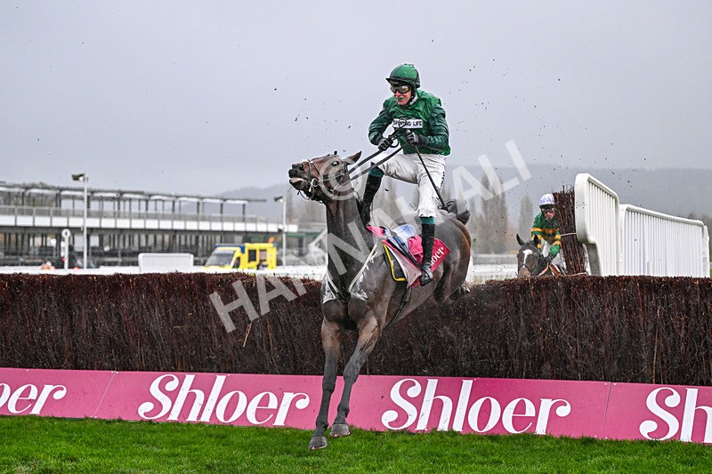 141125-Race 4-Matata-0436 - Race 4