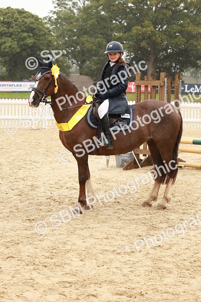 SBM_72210 - J14 - Junior Pony 65cm Championship
