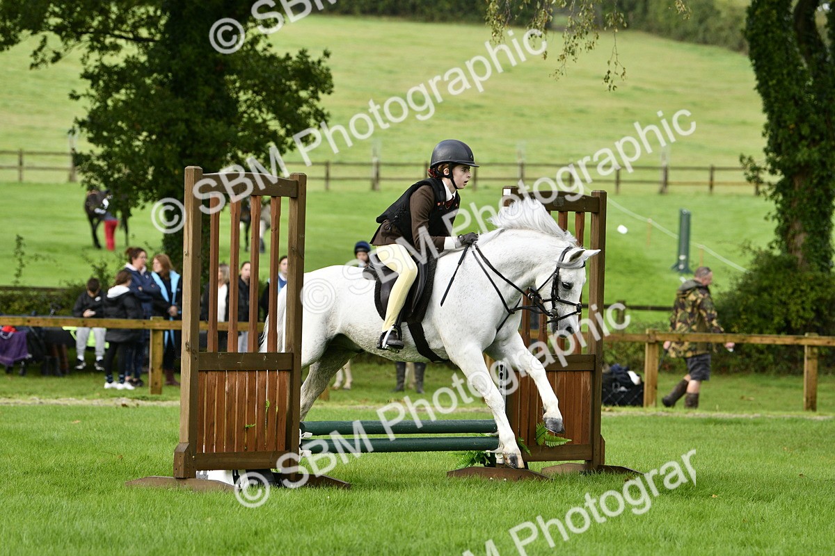 SBM_35430 - S30 - Nursery Stakes Working Hunter Pony