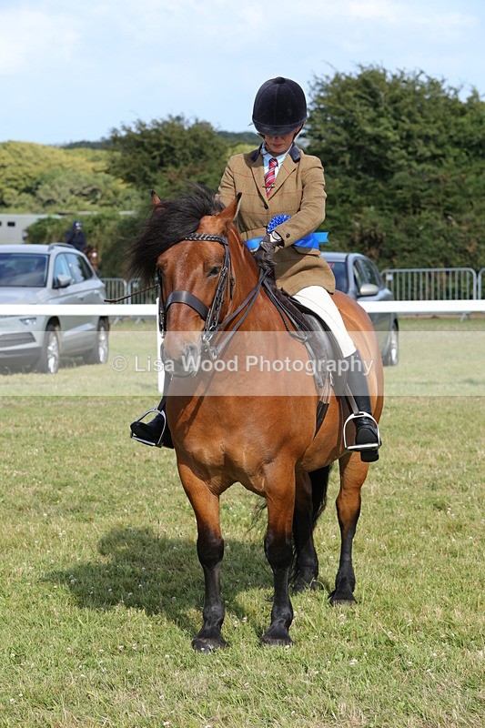 1X9A6016 - Class 42: NPS Dales, Fell, Highland
