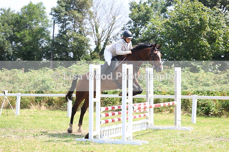 3E7A2839 - Class 7: Senior British Novice/90cm open