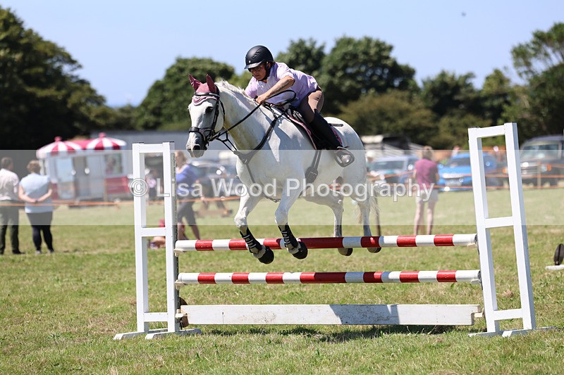 3E7A5659 - Class 9: Senior British Novice/90cm open