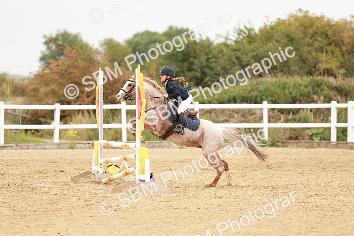 SBM_008261 - Class 5 - 80cm