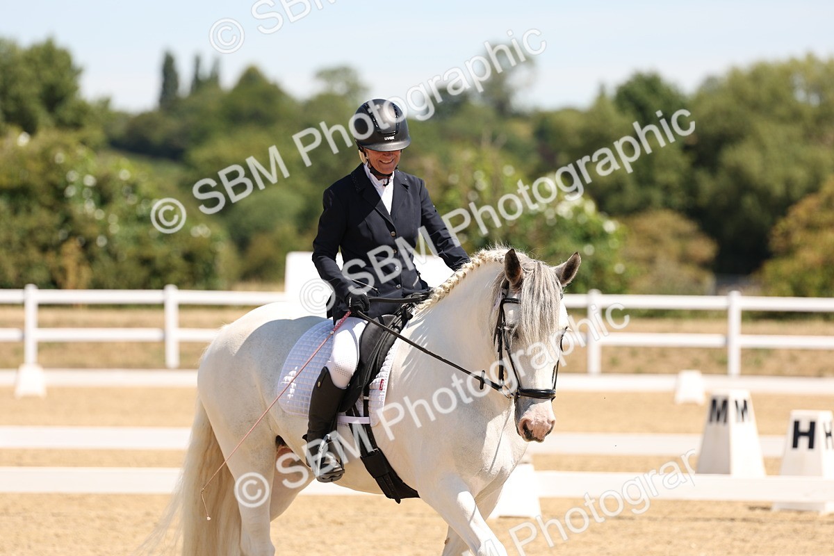 SBM_001328 - Intro 2