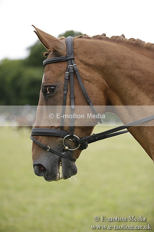 BVR160717-754 - Ring 1 BVRC Show 16/07/17