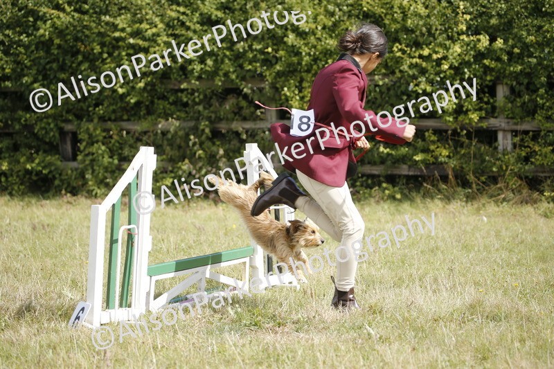 20250831-3830 - Dog Show