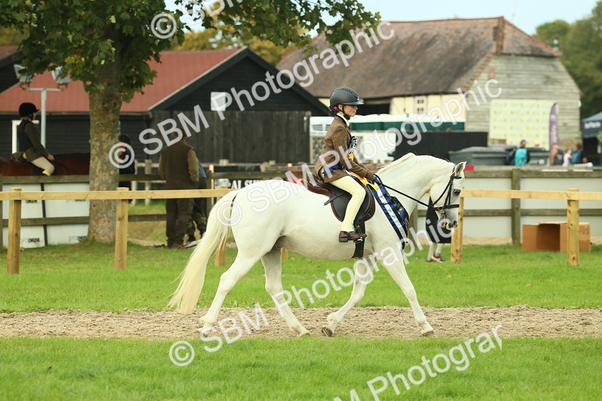 SBM_75238 - Super Supreme Championship