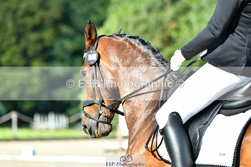 230623-180128-03148 - Cls 10 Advanced Medium 98Q