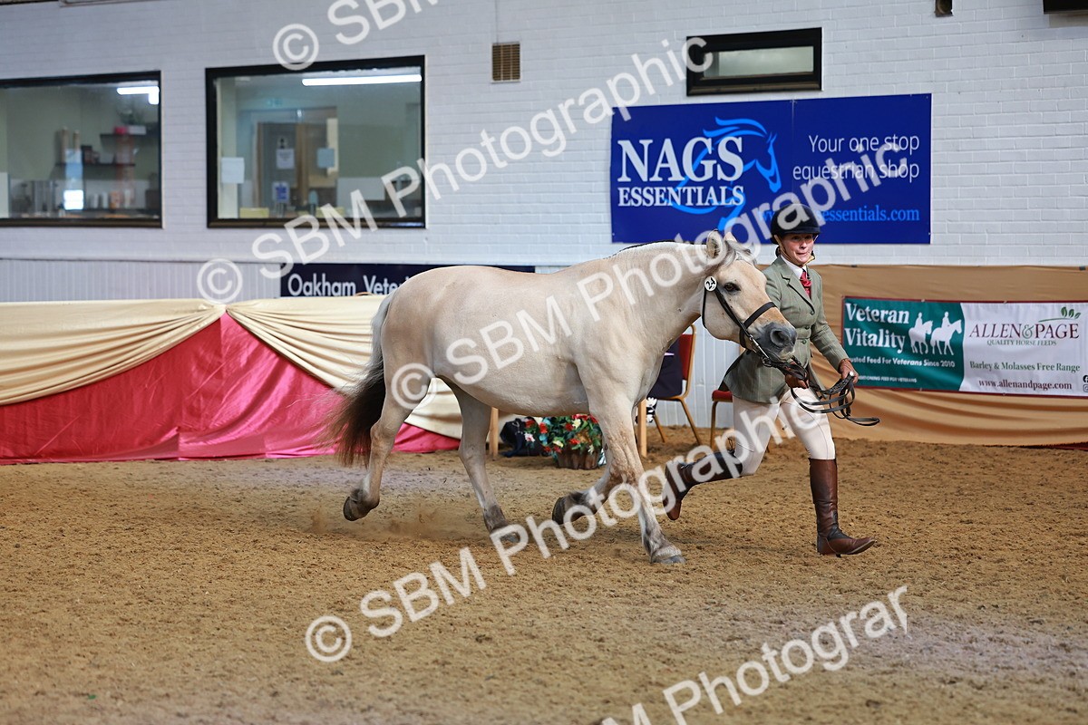 SBM_09549 - Class 102 - HOYS Veteran Qualifier - Ridden Veteran