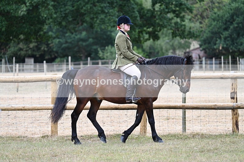 WJ7_0658 - Class 6 Ridden Mountain and Moorland