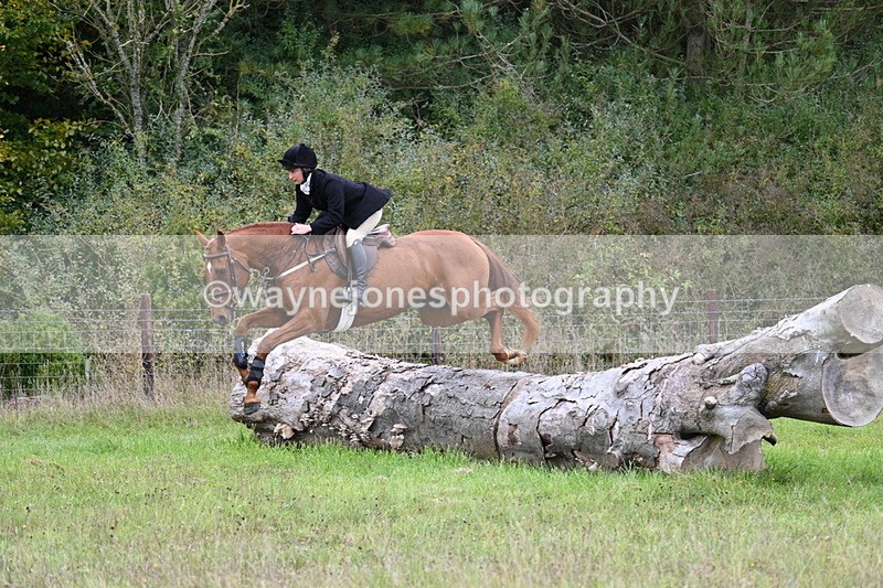 WJ7_3860 - Camera 1 Line 1