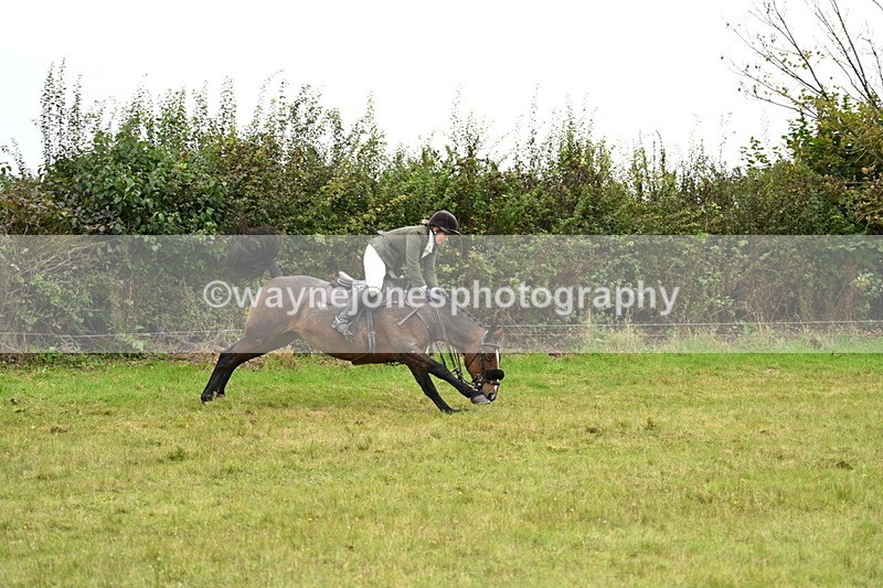 WJ7_4269 - Camera 1 Line 2