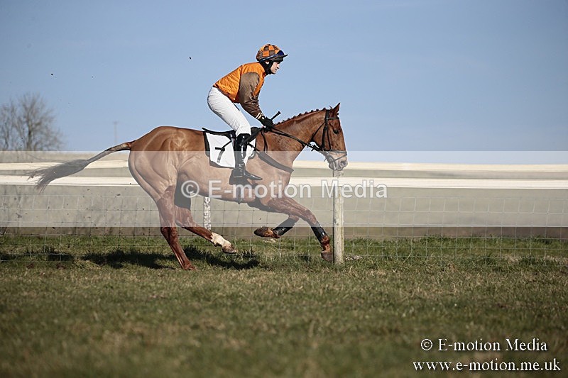 PtP 240218 469 - Vine & Craven Hunt Point-to-Point Barbury racecourse 24/02/18