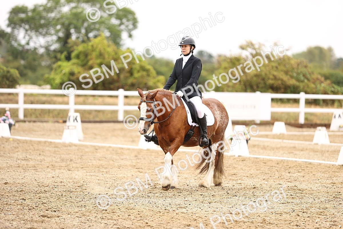 SBM_001008