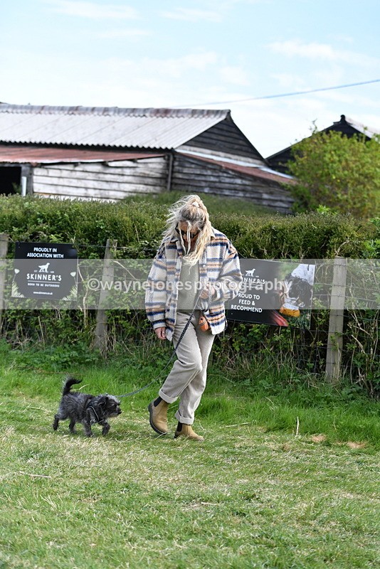 WJ5_0775 - Best in Show Championship
