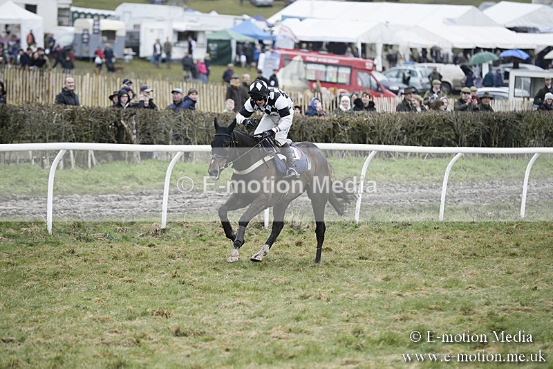 PtP 020418 -405 - Old Berks Point-to-Point Races Easter Monday 02/04/18