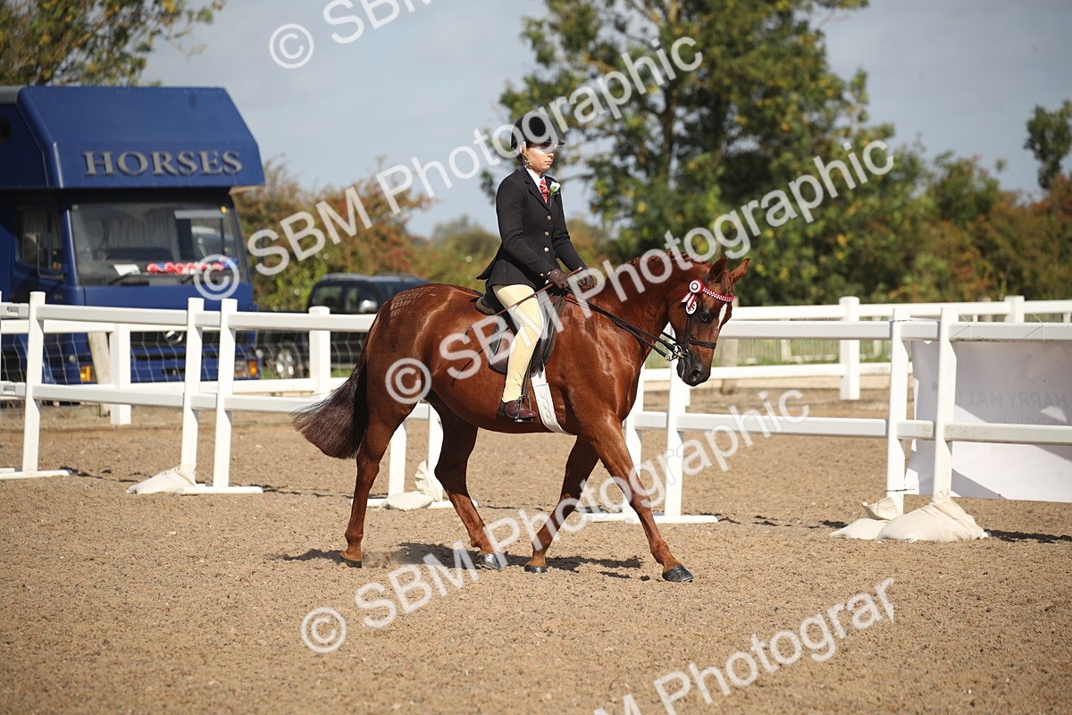 SBM_22899 - Class 603 - 2026 - Ridden Pre Vet