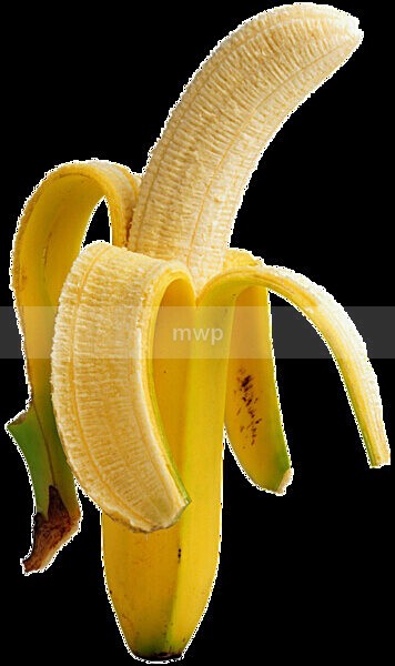 AA026360 - FOOD PHOTOGRAPHY