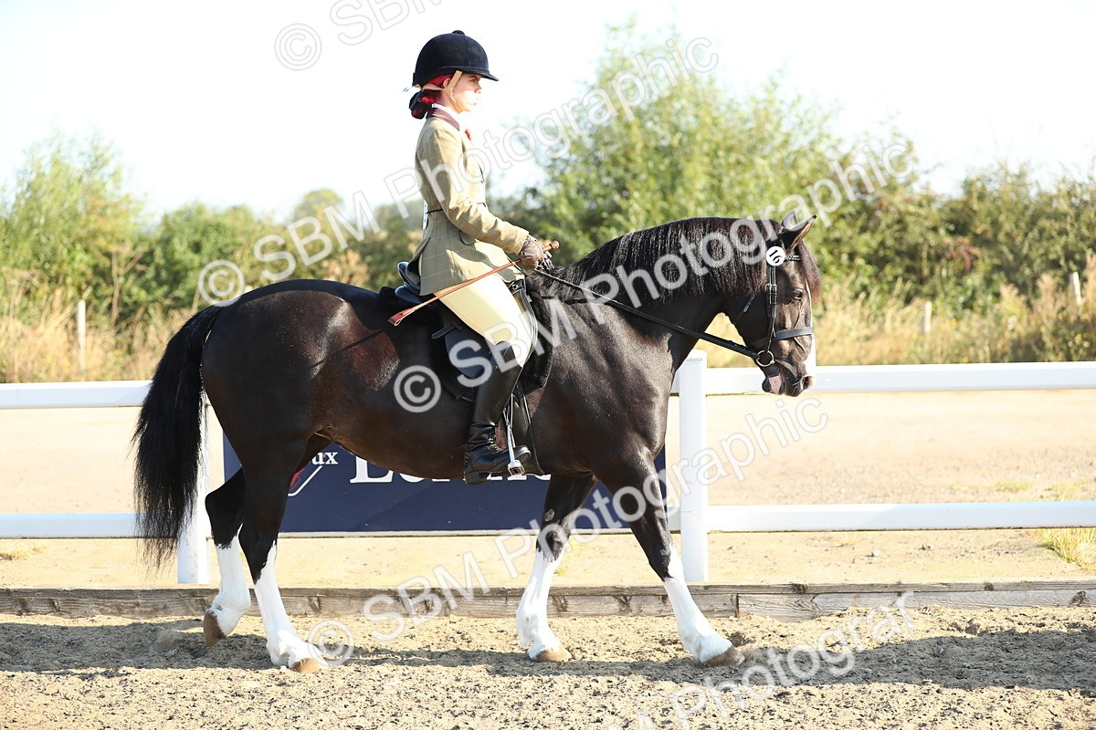 SBM_00370 - Class 41 Best Turned Out Ridden