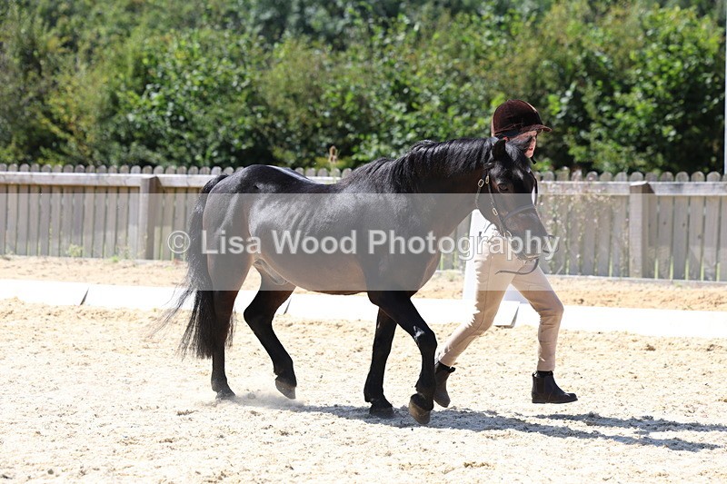 3E7A9390 - Class 29: Veteran In Hand