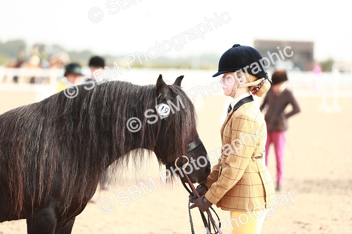 SBM_10541 - Class 204 Young Handler, 11-16 years