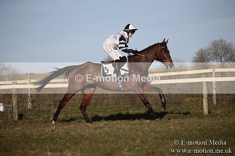 PtP 240218 659 - Vine & Craven Hunt Point-to-Point Barbury racecourse 24/02/18
