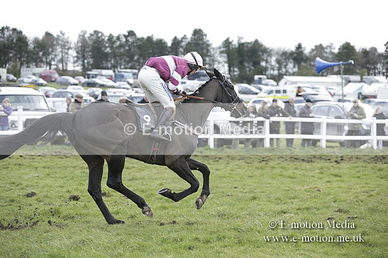 PtP 150320 0614 - New Forest Point-to-Point Larkhill 15/03/20
