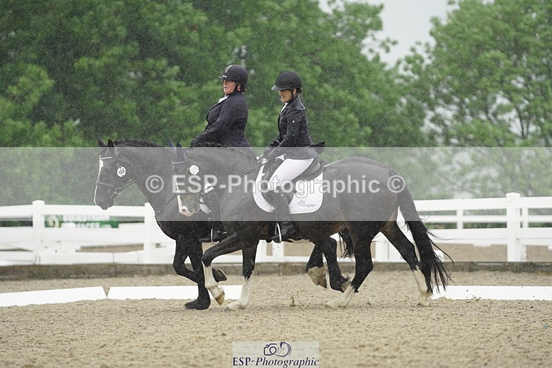 230708A-123506-00452 - BRC Pairs 5