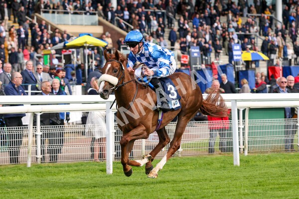 yr11052022r7-16 - Race 7 5.15pm British Stallion Studs EBF Novice Stakes