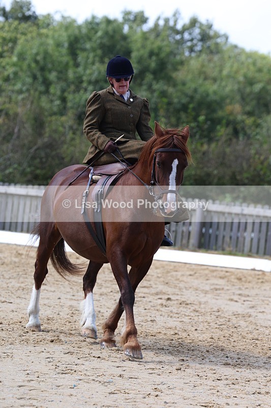 3E7A3609 - Class 7:  Preliminary Music