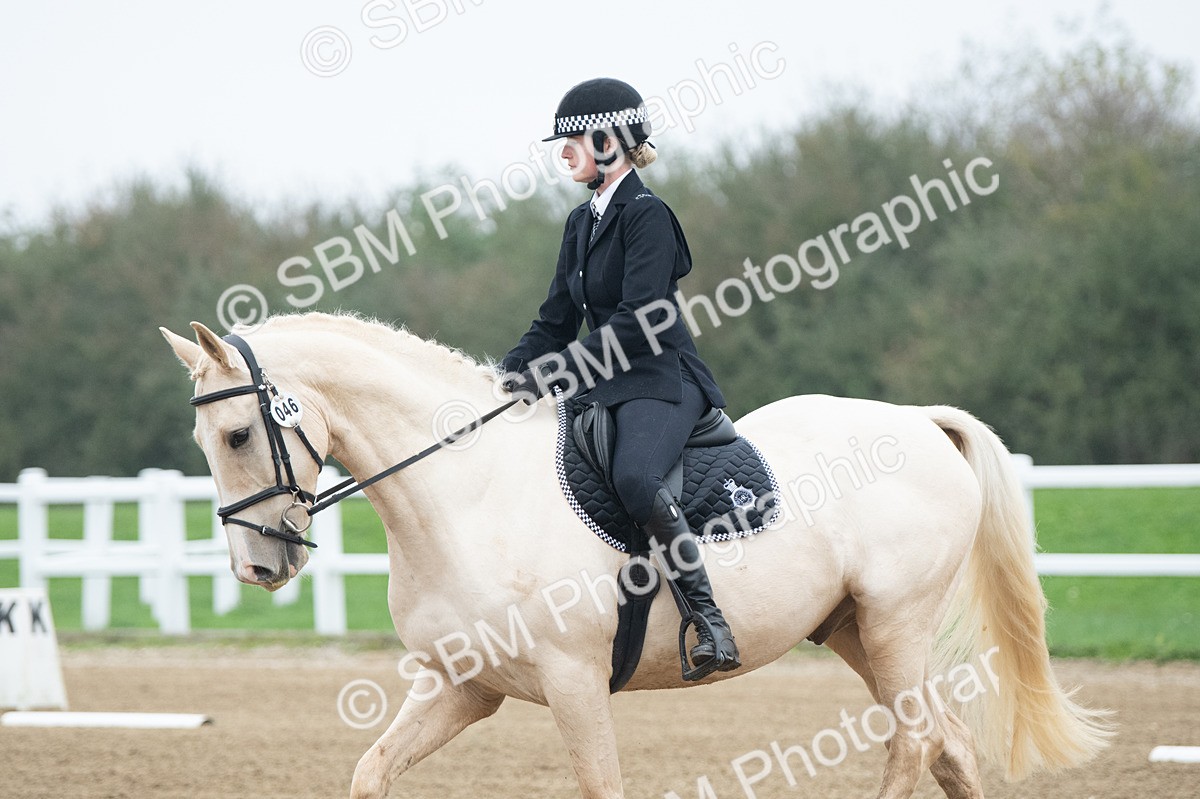 SBM_003333 - Introductory Test 3