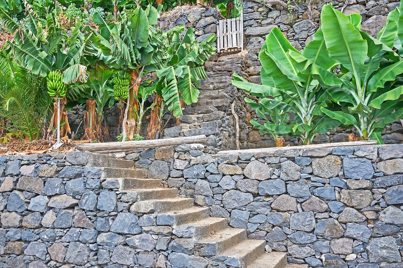 0819_134 - Madeira