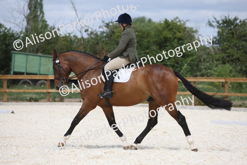 20260704-0830 - Class 5 - Novice 3