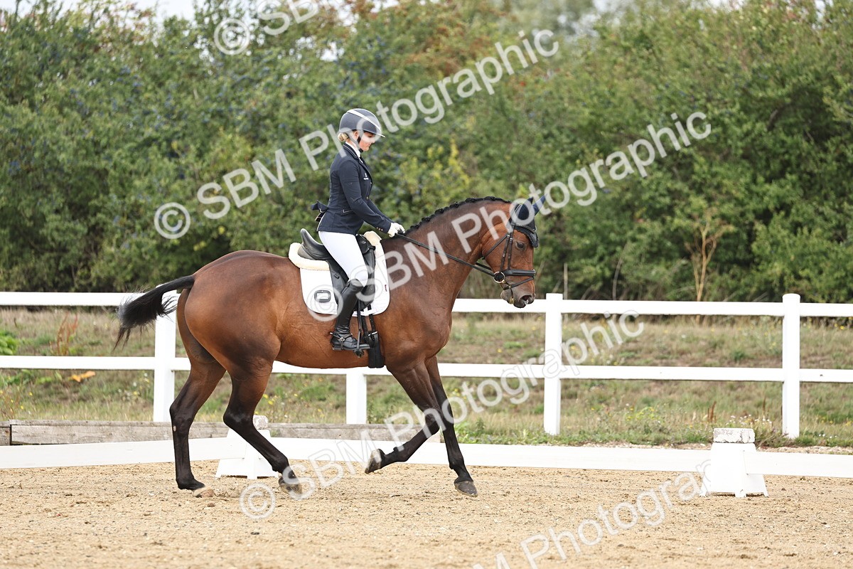 SBM_002543 - Class 7 - Novice 2 Warm Up