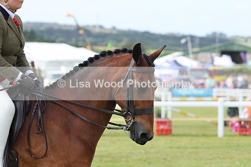 JPP_0788 - Class 16: Cornish Combination Young Rider