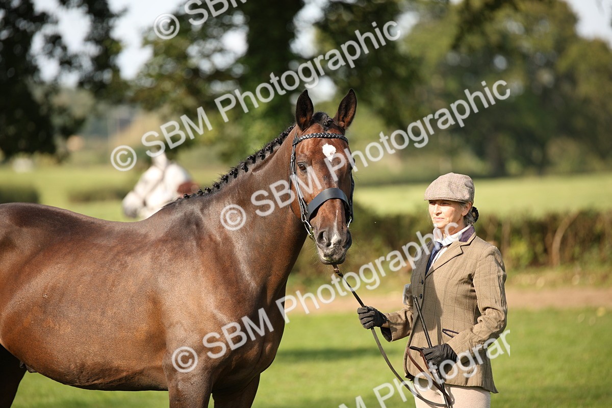 SBM_60087 - S53 - Hunter In Hand
