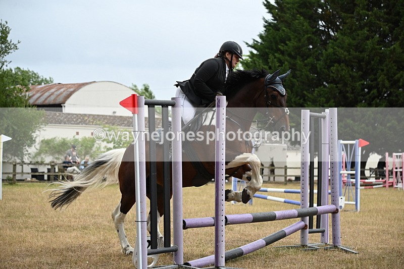 WJ6_0060 - Class 13 Novice Jumping 60cm