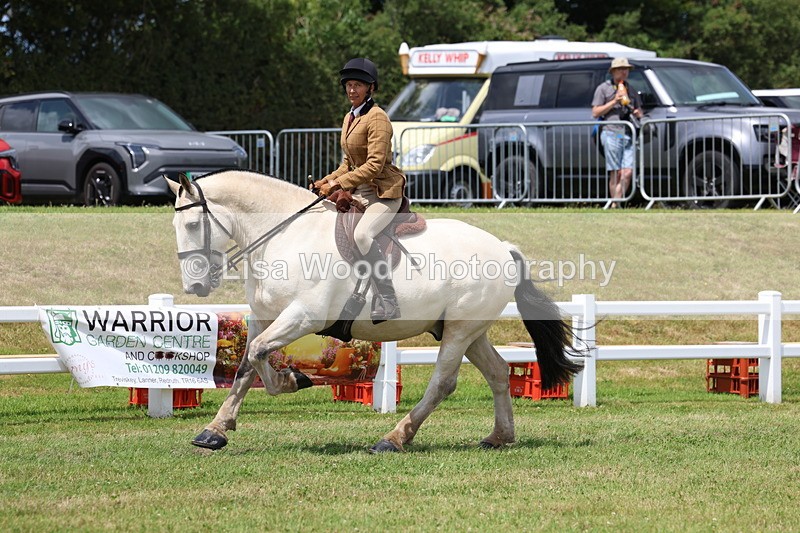 3E7A1980 - Class 10: Open Cob