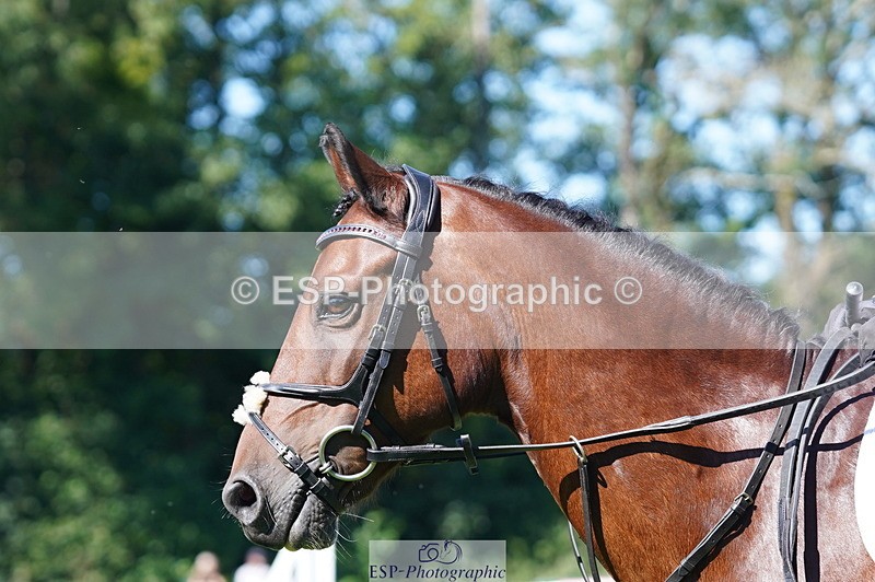 240811A-155348-06109 - 404-