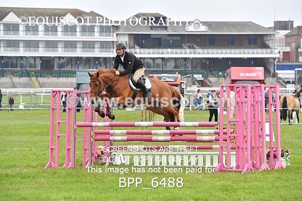 BPP_6488 - CLASS 1 Senior Newcomers/ 1.10m Open