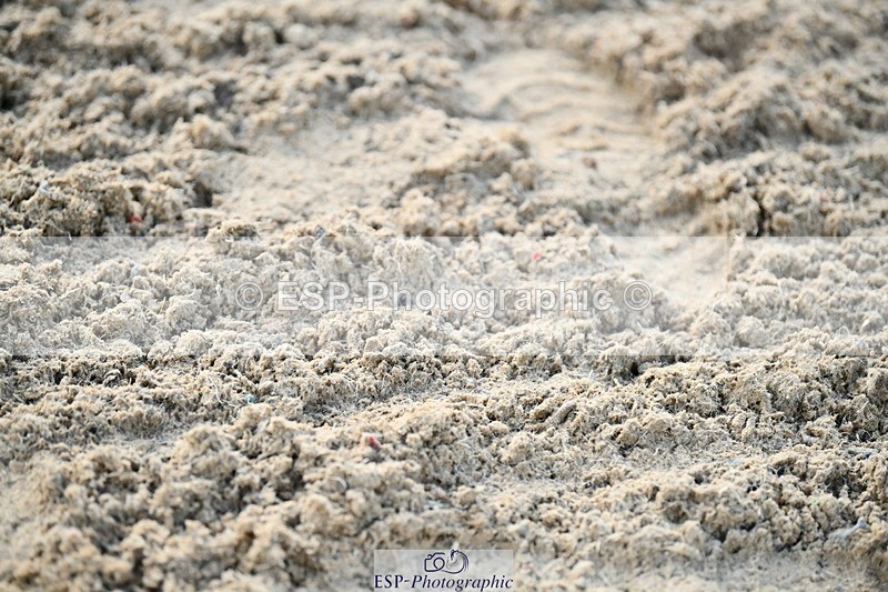 251004A-090404-00047 - Classes 1-2-3 40cm